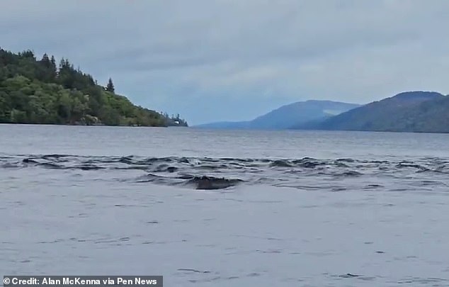 The peaks of standing waves, rising over calm water, could be mistaken for 