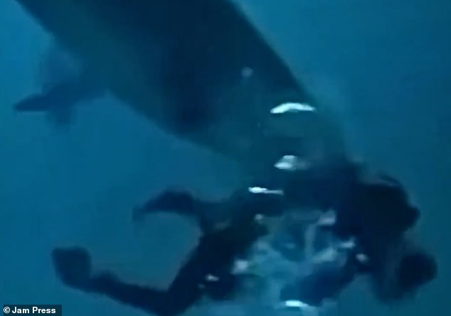 The heart attack images showed the diver's head completely submerged in the shark's mouth.