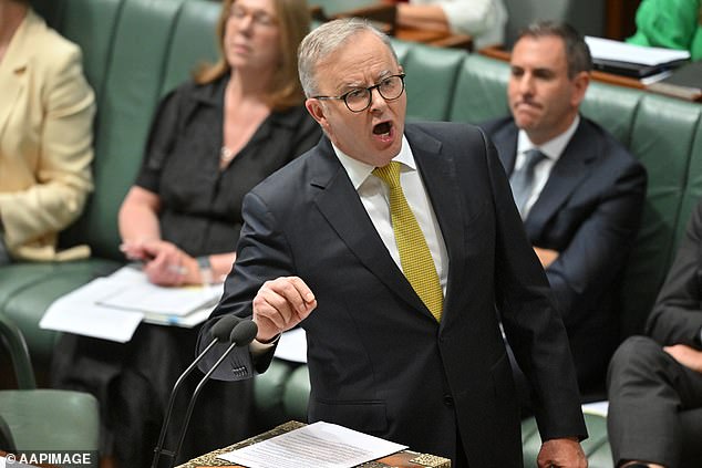 The Senate passed new laws to enforce age limits on social media on Thursday night (pictured Prime Minister Anthony Albanese)