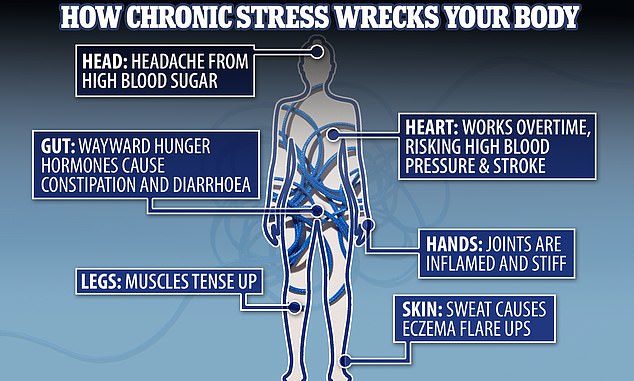 1732807746 690 Five signs your stress levels are high enough to kill