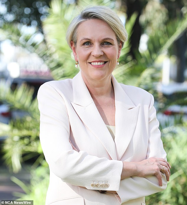 Environment Minister Tanya Plibersek (pictured) has been criticized by territorial council leaders for not listening to her views on cultural heritage claims.