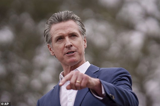 Only a party-wide frenzy would explain that we have to look again at the likes of Harris, Gavin Newsom (pictured) or Tim Walz.