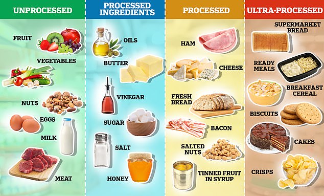 Foods can be divided into four broad categories: fresh foods, simple ingredients used in cooking, processed foods that combine the last two groups, and ultra-processed foods, which are made with numerous additives and preservatives.