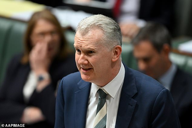 Ms Owens was booked to tour the country for a series of shows throughout November, but Immigration Minister Tony Burke blocked her visit on character grounds.