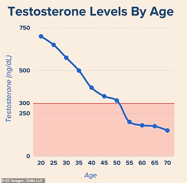 Testosterone levels peak in young adulthood, around age 20, but decline about 1 percent annually after age 30.