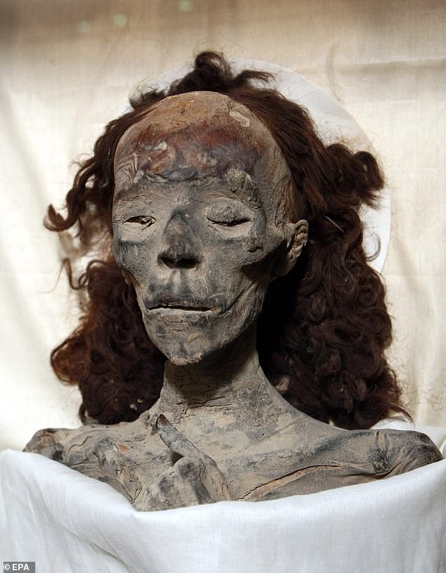 Queen Tiye's mummy was discovered in 1898 in the tomb of Amenhotep II in the Valley of the Kings, but DNA analysis confirmed her identity only in 2010.