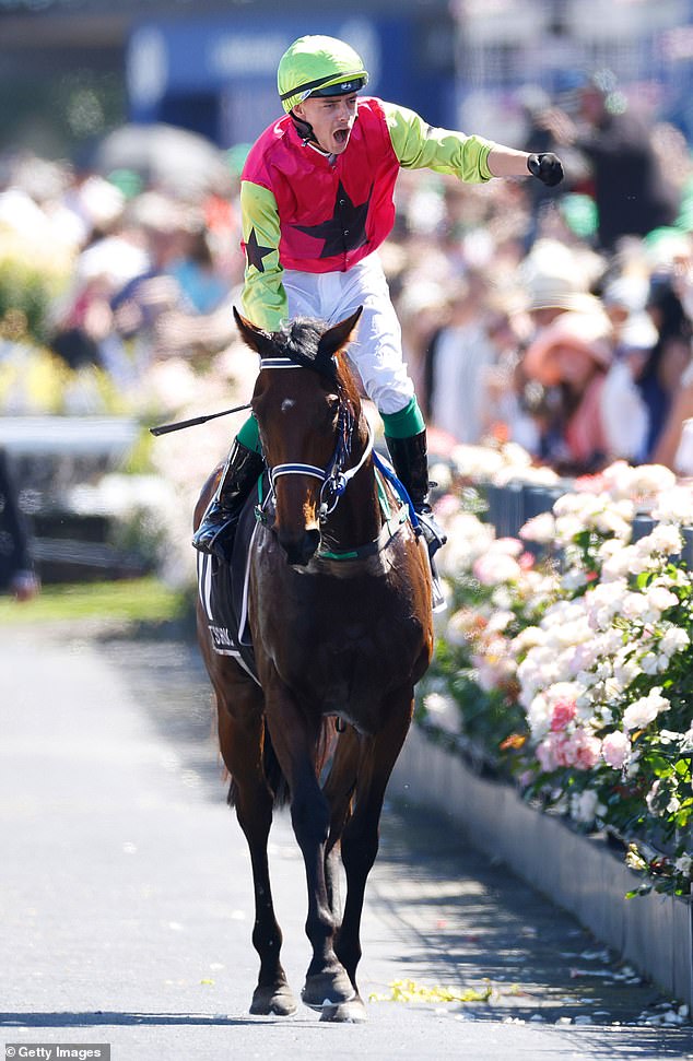 The family backed outsider Knight's Choice (pictured) to win the Melbourne Cup and chose the three horses that finished after him.