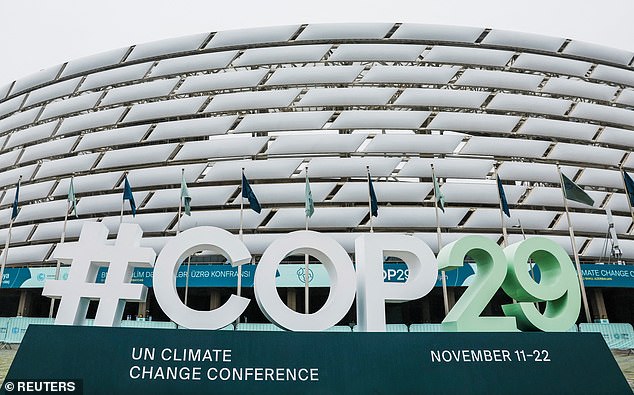 A general view of the United Nations climate change conference COP29 in Baku (file photo)