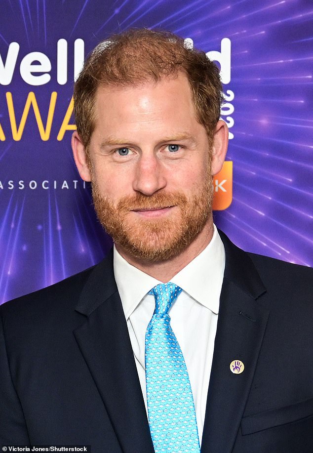 The Duke of Sussex pictured at the WellChild Awards in London earlier this year.