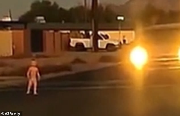 A horrified woman in a nearby car howled in fear. The vehicles pounced on the boy.