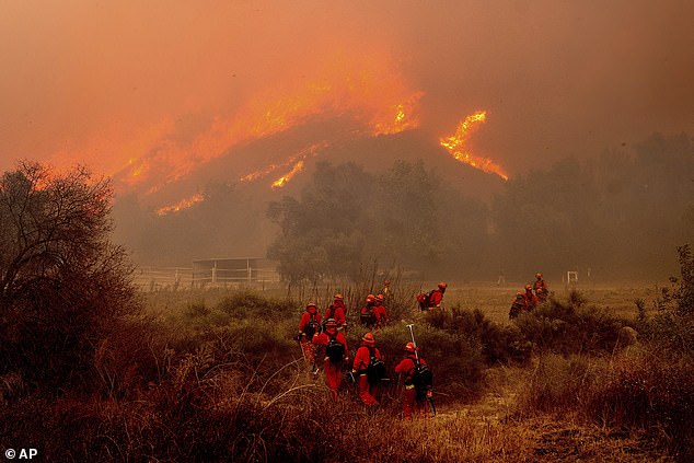 Inmate firefighters battle the Mountain Fire at Swanhill Farms in Moorpark, California, in November 2024.