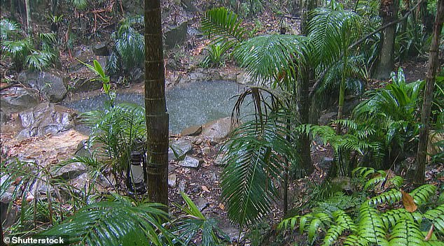 The rain causes serious complications for the show, flooding important locations and has the danger of making life at the camp more difficult for the contestants, which may force them to quit (camp pictured during a storm in 2017)