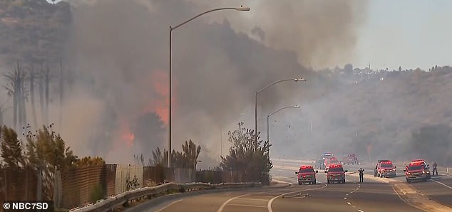 The fire grew to more than 40 acres, after it broke out in an area filled with old, dry palm trees that quickly caught fire and spread before it gained momentum to jump a road.