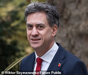 Setback: Energy Secretary Ed Miliband has been accused of 