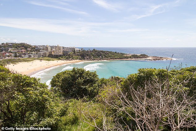 Mr Plummer's body was found by a lifeguard at the foot of a cliff on Freshwater beach (pictured)