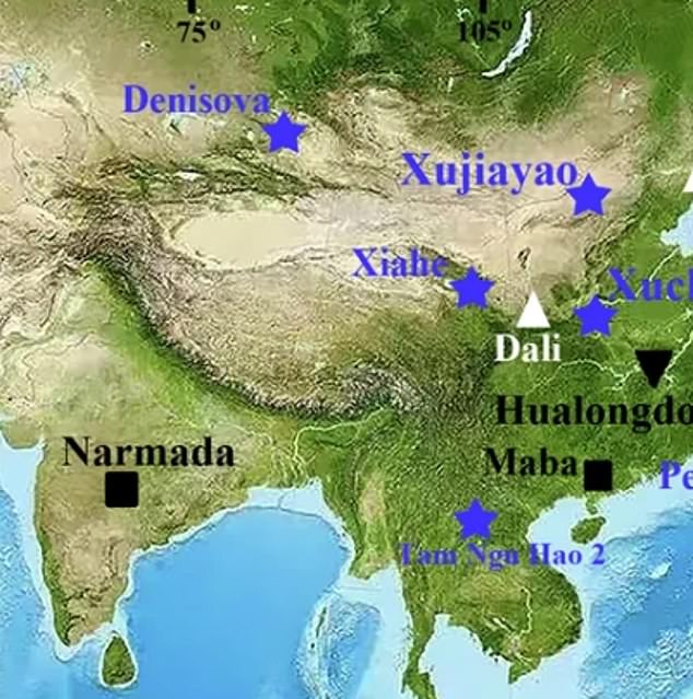 Researchers have linked fossils found in China in the 1970s to a new human species called homo juluensis.