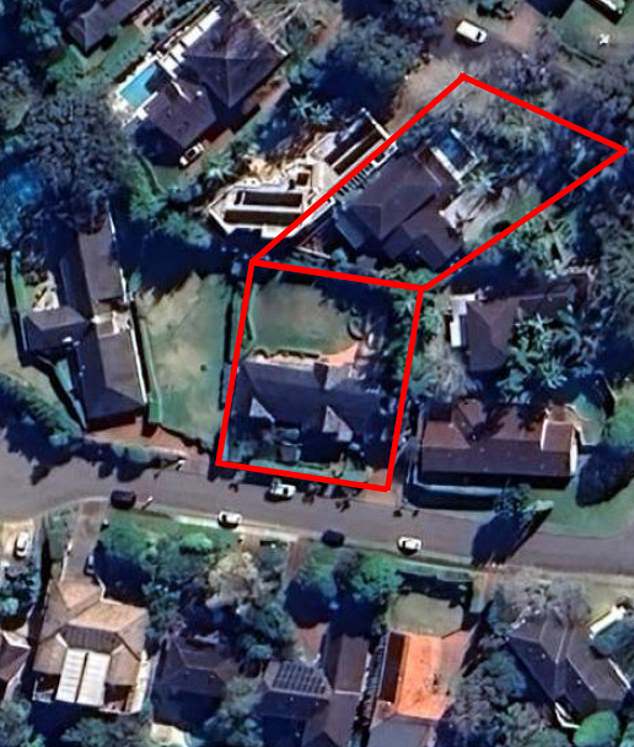 In 2015, five years before the Beswicks moved to the area, Sandig planted four clumps of slender weaver bamboos near the fence between the two properties (pictured: the properties from above).