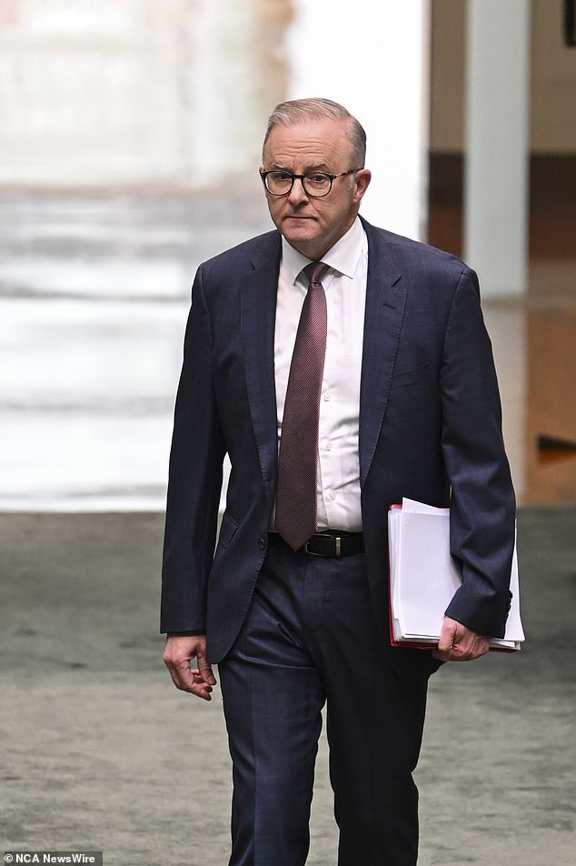 The Labor government said the call to Albanese (pictured) was one of the president-elect's first to a world leader after Trump's decisive victory.