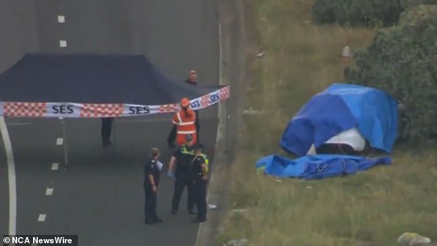 The driver was pronounced dead at the scene. Photo: 7 NEWS.