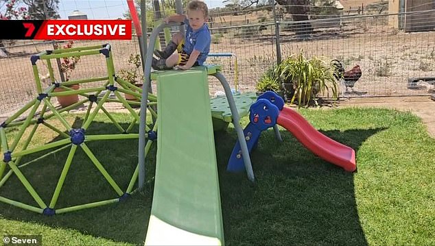 Ezra was at his game (pictured) in the backyard when he was bitten on the foot.