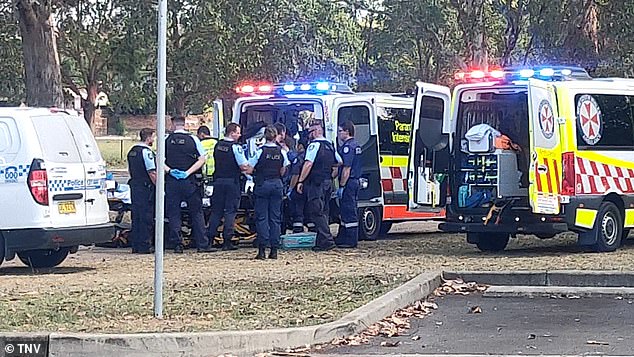 Staff at the Pullman Hotel in Penrith, west of Sydney, made a grim discovery on Sunday afternoon when they found the body of a woman, covered in blood. The scene is represented