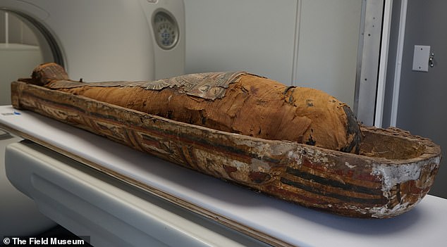 The scans created 3D images of Chenet-aa's body alongside a second mummy named Harwa, who was also considered a high-status individual at the time.