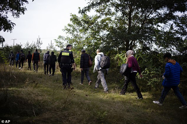 FILE PHOTO: A German police officer escorts a group of migrants who illegally crossed the border from Poland into Germany