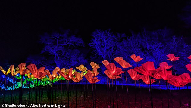 Blenheim Palace houses a trail of lights and 