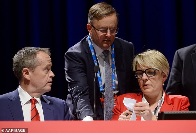 Here you go Madam Deputy Leader... Leader Albo speaks to Plibersek and then Opposition Leader Bill Shorten, after they took over the leadership of the party. Photo above from 2015