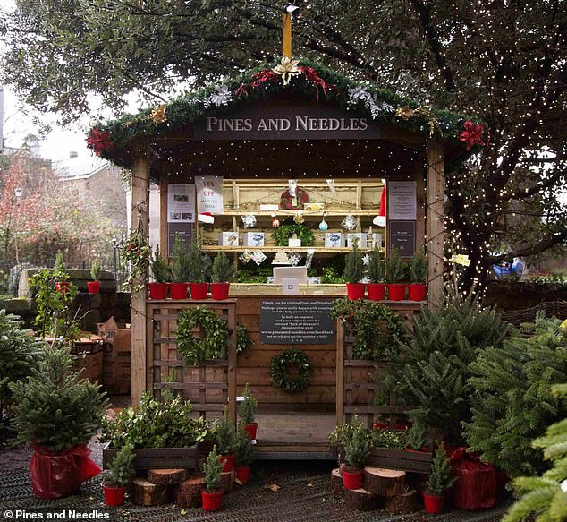 With Christmas just around the corner, it's the perfect time to choose your tree. There are over 30 Pines and Needles stores across London