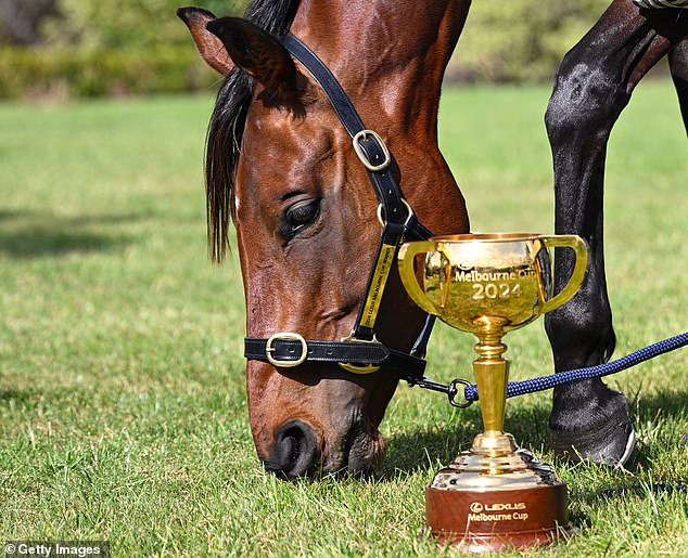 Frank Grulli, 75, has been battling TAB since Melbourne Cup day when he landed a $7000 jackpot on winner Knight's Choice (pictured), which was at odds of 151-1.