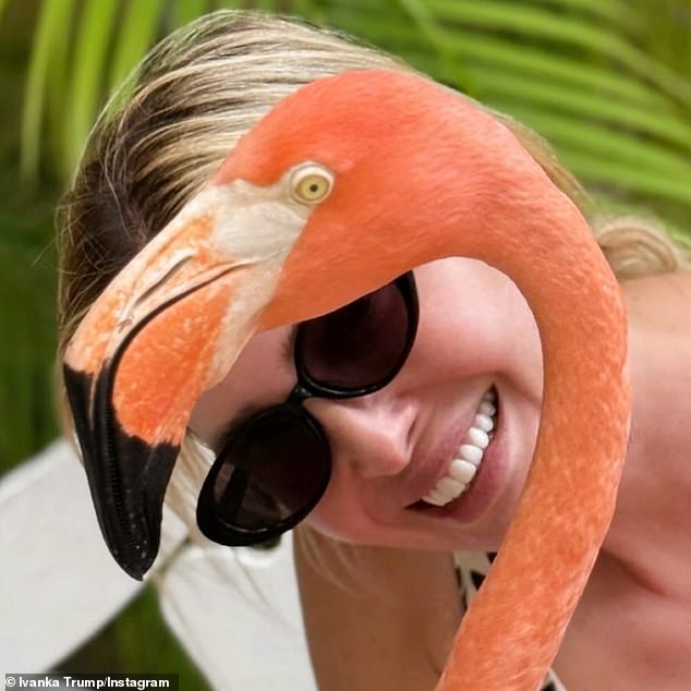 In another snapshot, Ivanka posed next to a flamingo and smiled from ear to ear.