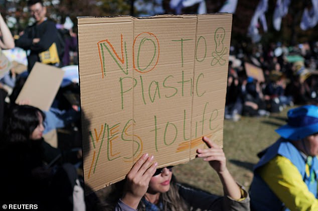 A woman holds up a sign during a meeting to demand stronger global commitments to combat plastic waste during the upcoming fifth session of the Intergovernmental Negotiating Committee in Busan, South Korea last month