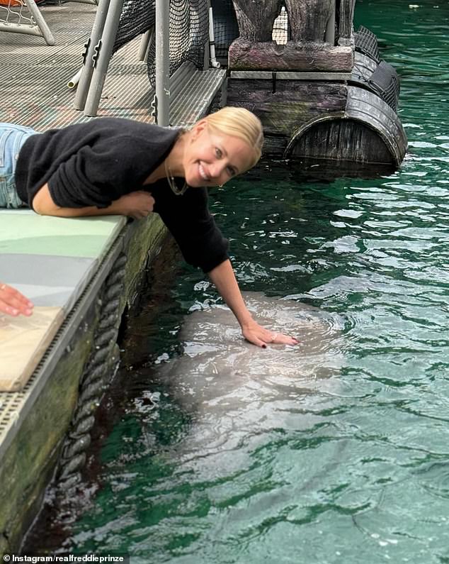 Sarah Michelle Gellar got down on the ground and lay on her stomach so she could pet a seal at Sydney's Sea Life aquarium