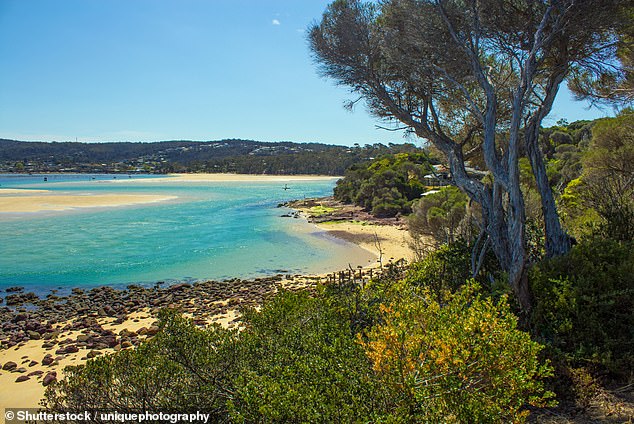 The council has since removed the rubbish bag disposers from the beach (pictured) to try 