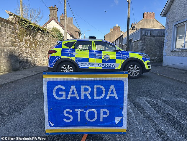 Police at the scene in New Ross, Wexford, after a girl died following a home invasion