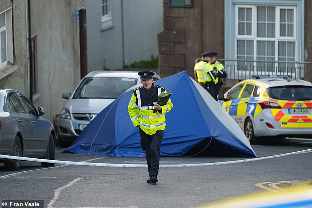 Gardaí have cordoned off the New Ross area as detectives investigate