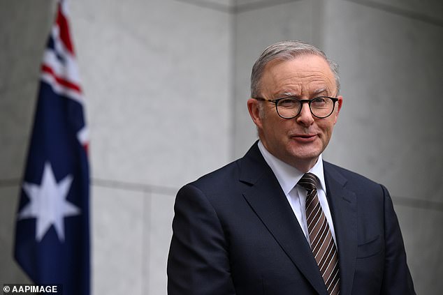 The nation's gross domestic product grew just 0.8 percent in the year to September (pictured, Prime Minister Anthony Albanese)