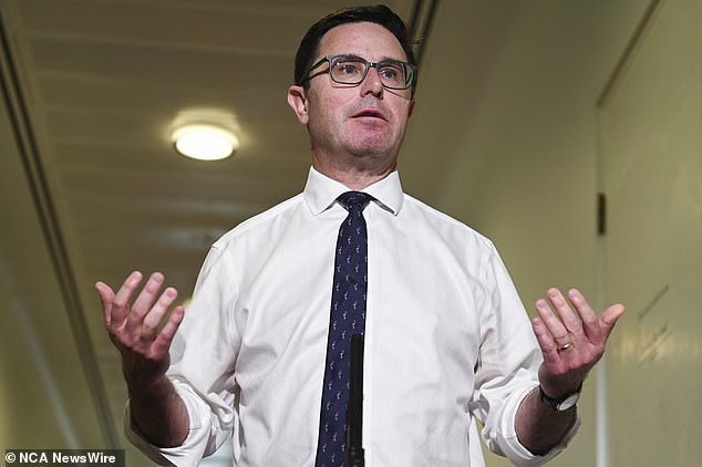 Nationals leader David Littleproud (pictured) said the hotel group was prepared to boycott Australia Day but was unwilling to miss out on holiday profits.