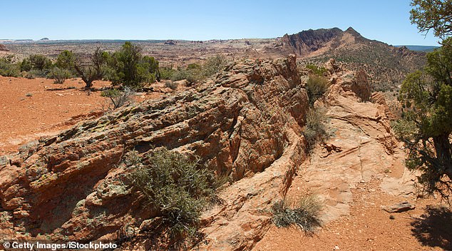 High desert panorama in southern Utah above Buckskin Gulch on the Utah-Arizona border, where the two vandals damaged ancient drawings