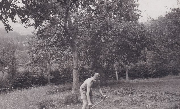 Another photo of Edward tending a garden with a scythe, while wearing only a pair of shorts.