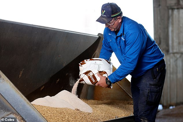 Coles beef supplier Warren Barnett (pictured) has been using Bovaer on his New South Wales farm since May 2023.