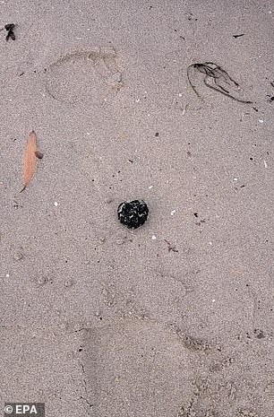 Sutherland Shire Council took samples of unidentified debris