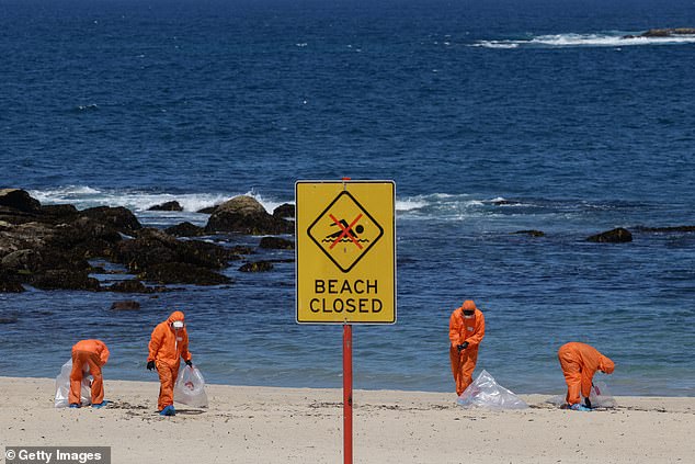 In October, seven Sydney beaches were closed for similar dances. They were later found to contain various medications, human faeces, drugs and chemicals (pictured, a clean-up in October).