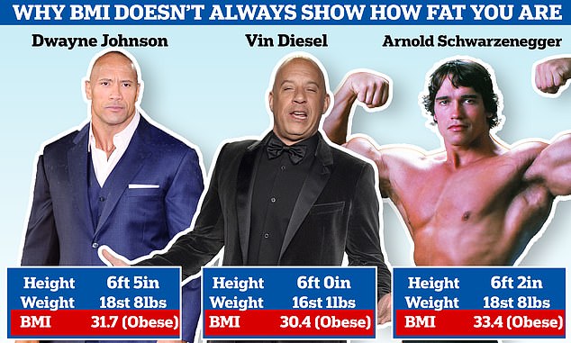 The Hollywood heartthrob or the Hulk? Muscular celebrities such as Dwayne 'The Rock' Johnson, Vin Diesel and Arnold Schwarzenegger are considered obese according to the body mass index formula that is widely used by health authorities around the world. Some scientists now argue that it should be replaced. Schwarzenegger's figures correspond to his 