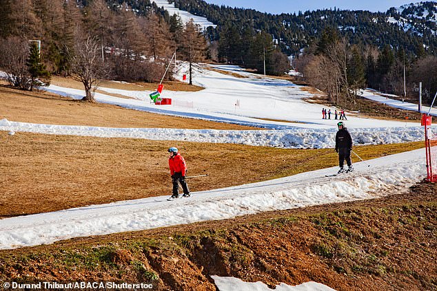 Resorts at lower altitudes and in warmer parts of the southern Alps were hardest hit as rising temperatures caused precipitation to fall as rain rather than snow. Pictured: Skiers try to make the most of snow-free conditions at the Lans en Vercors ski resort in France on January 27.