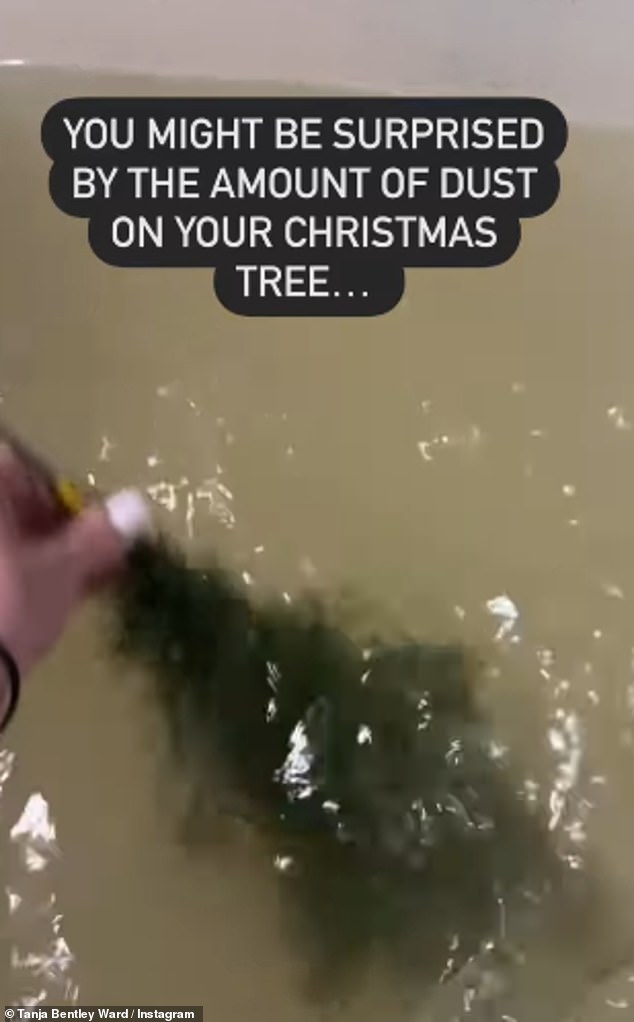 The video showed his bath water turning cloudy after submerging the tree in it, horrifying other users on the social media platform.