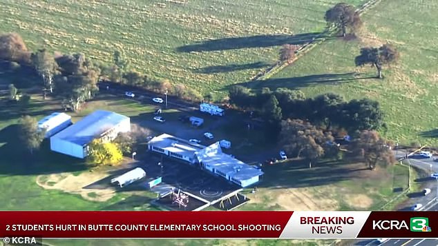 Pictured: An aerial view of the scene of the shooting in California on Wednesday