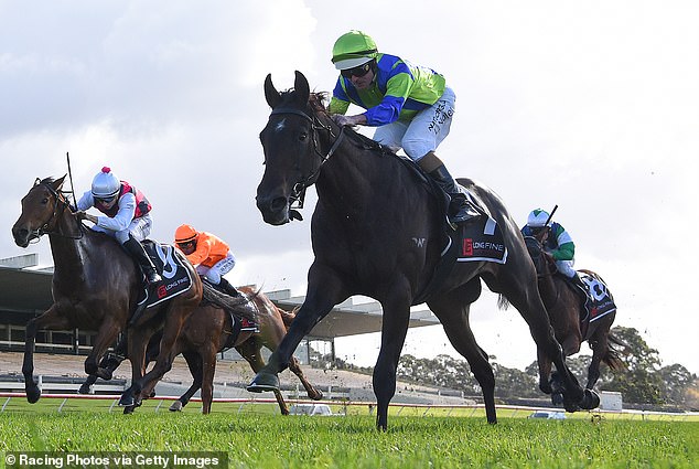 Nolen (pictured aboard Dark Horse) is said to have suffered injuries to his nose and teeth.