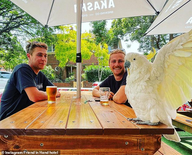 Locals feared the native would be left homeless after the pub recently changed hands.